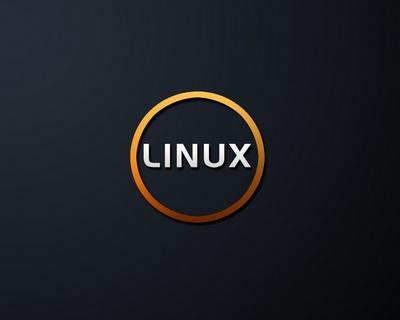 Linux vs Windows – Linux as Server