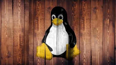 Linux server distributions: Ubuntu, CentOS, Debian, OpenSUSE, Fedora